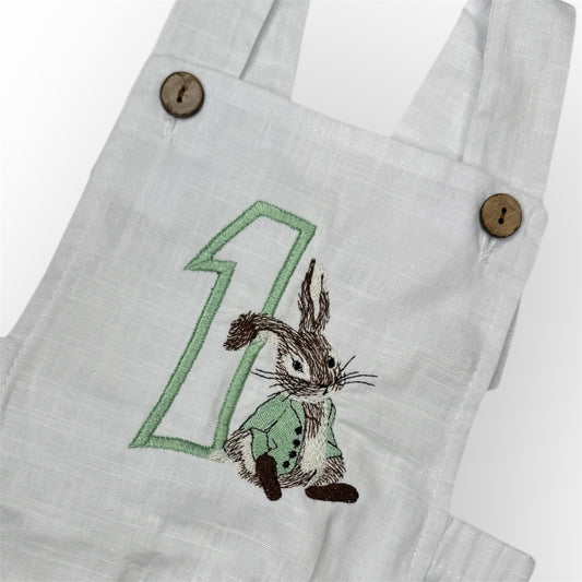 Birthday Bunny Romper